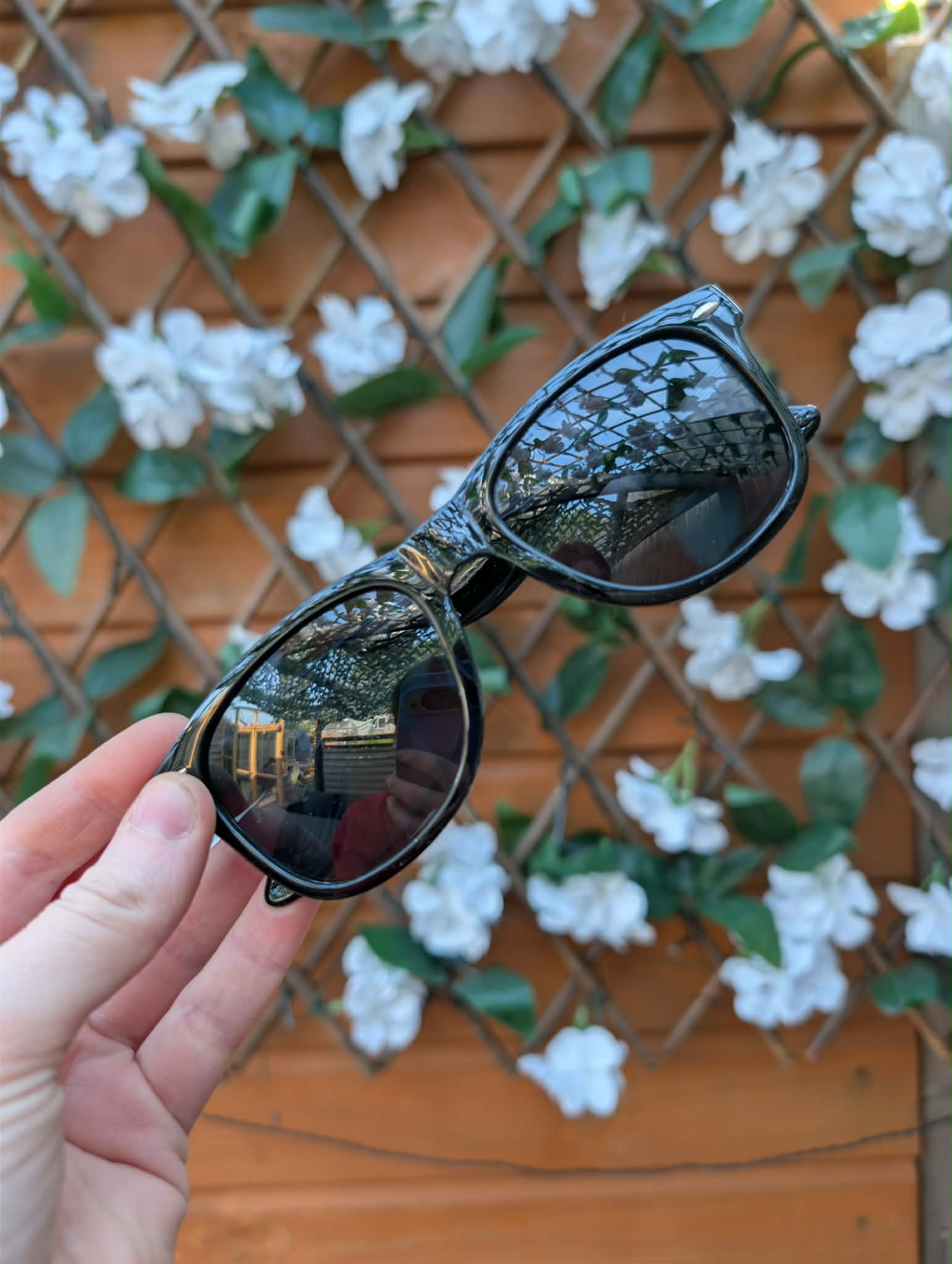 Blank Prop Sunglasses