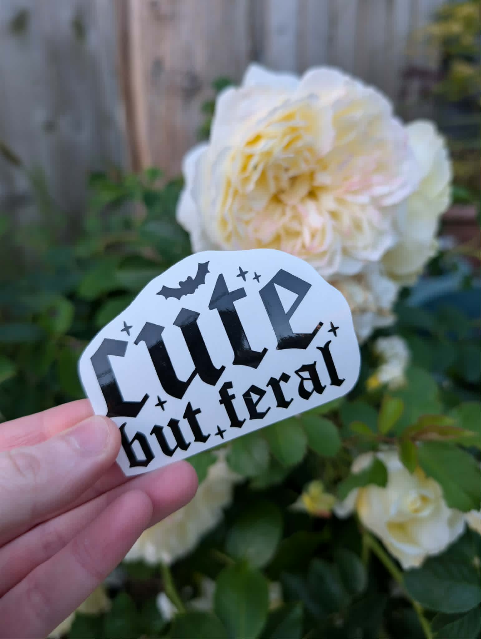 Cute But Feral Vinyl Car Decal