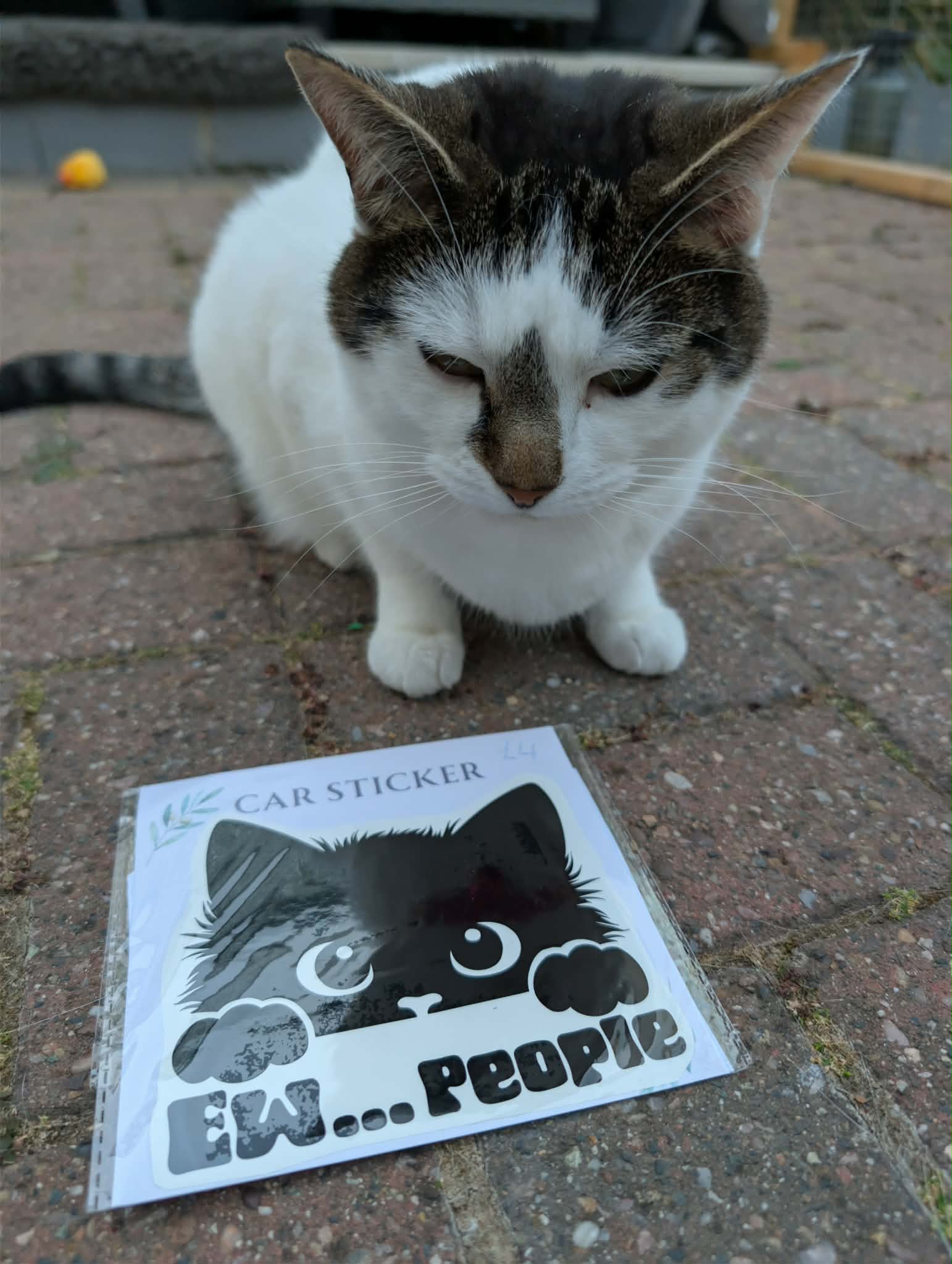 Cat Themed Vinyl Decals