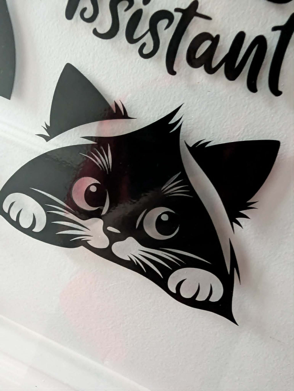 Cat Themed Vinyl Decals